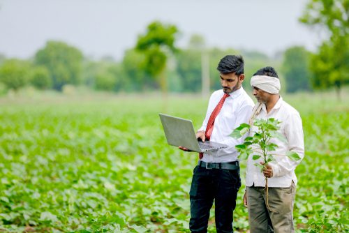 http://Does%20money%20grow%20on%20trees?%20It's%20an%20intriguing%20question%20looking%20at%20the%20Zomato%20IPO%20while%20businesses%20with%20tangible%20assets%20and%20profits%20struggle.