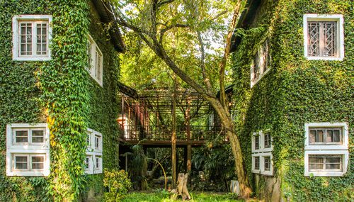 http://Sustainable%20arictecture%20is%20the%20way%20forward%20due%20to%20climate%20change