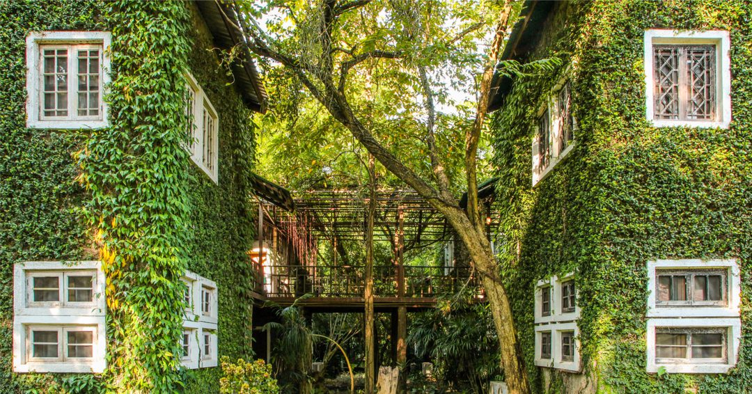 Sustainable arictecture is the way forward due to climate change
