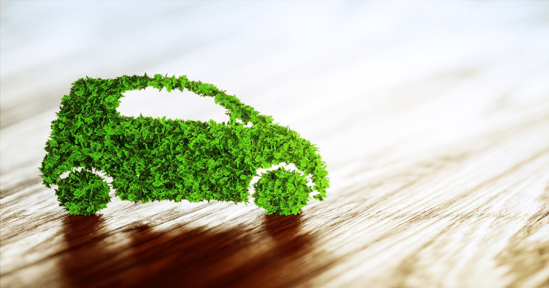 How clean mobility can help India meet climate commitments:  Chandana Sasidharan