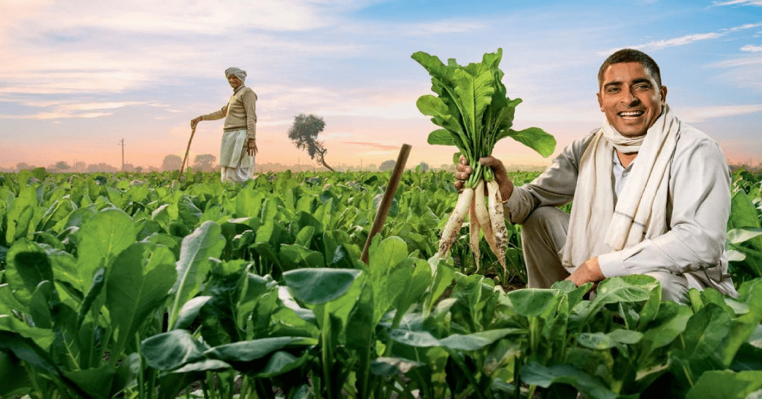 India farm products
