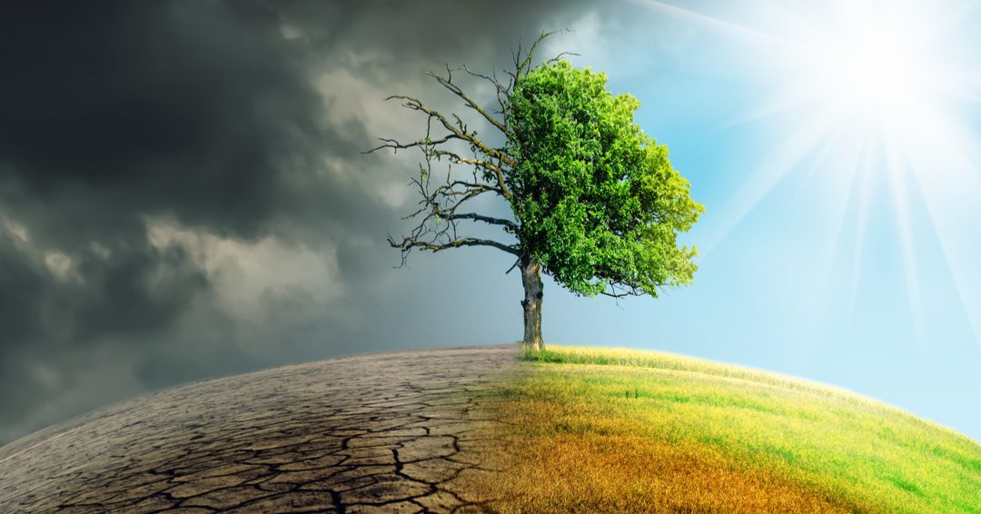 Climate Change