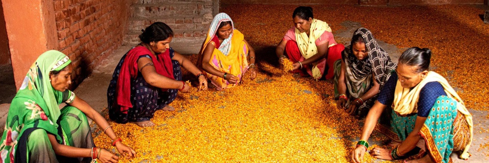Flower Recycling | Indian Startups | Global Indian