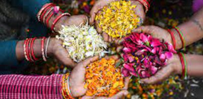 Flower Recycling | Indian Startups | Global Indian