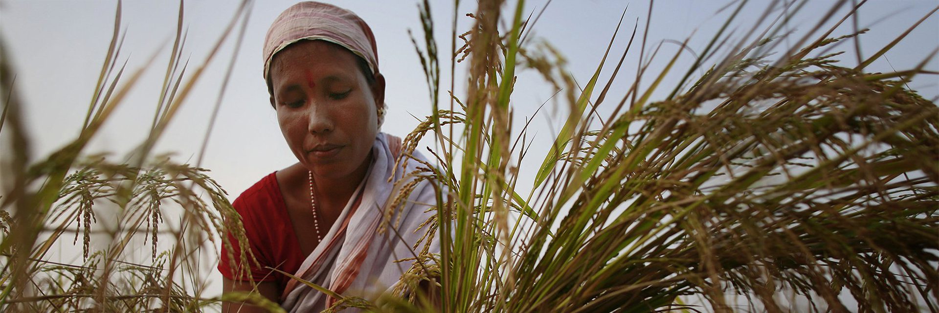 Climate Change and Gender Inequalities