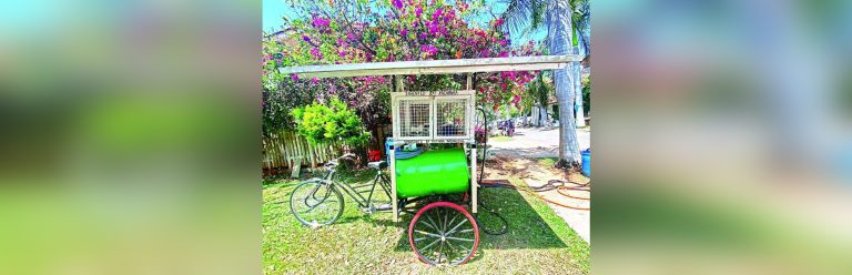 Indian Teen | Rachanaa Bodugu | Global Indian