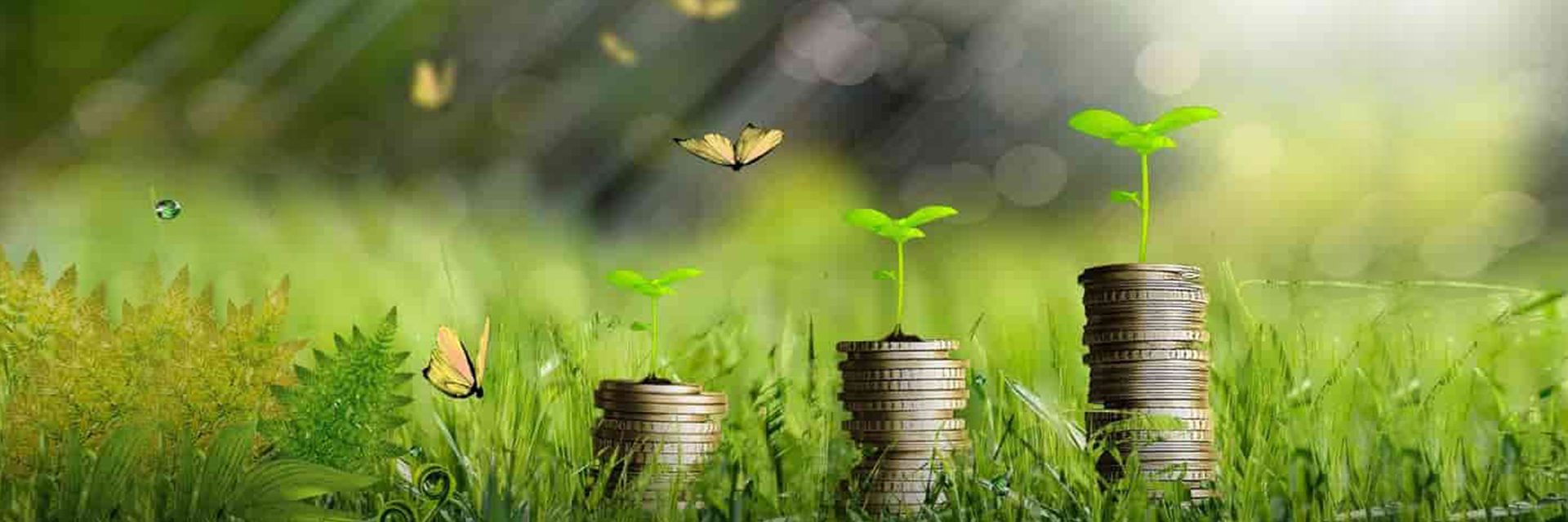 Green startup