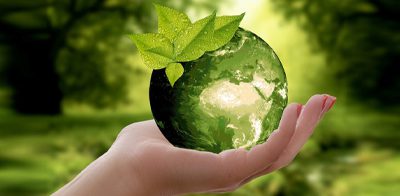 Green startups
