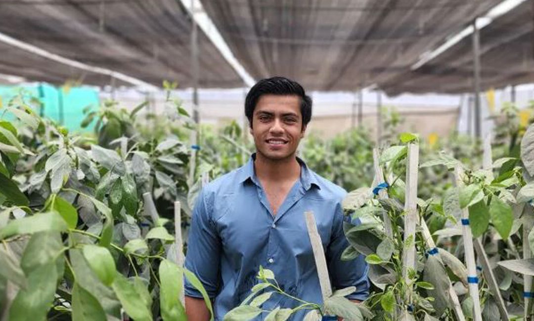 Harshit Godha is making farming popular amongst youngsters with knowledge of avocado cultivation from Israel