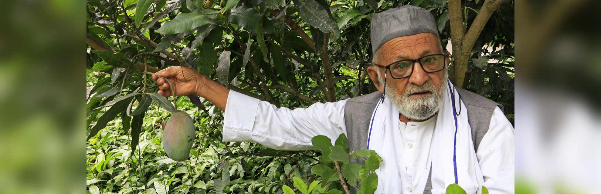 Mango | Kaleem Ullah Khan | Global Indian