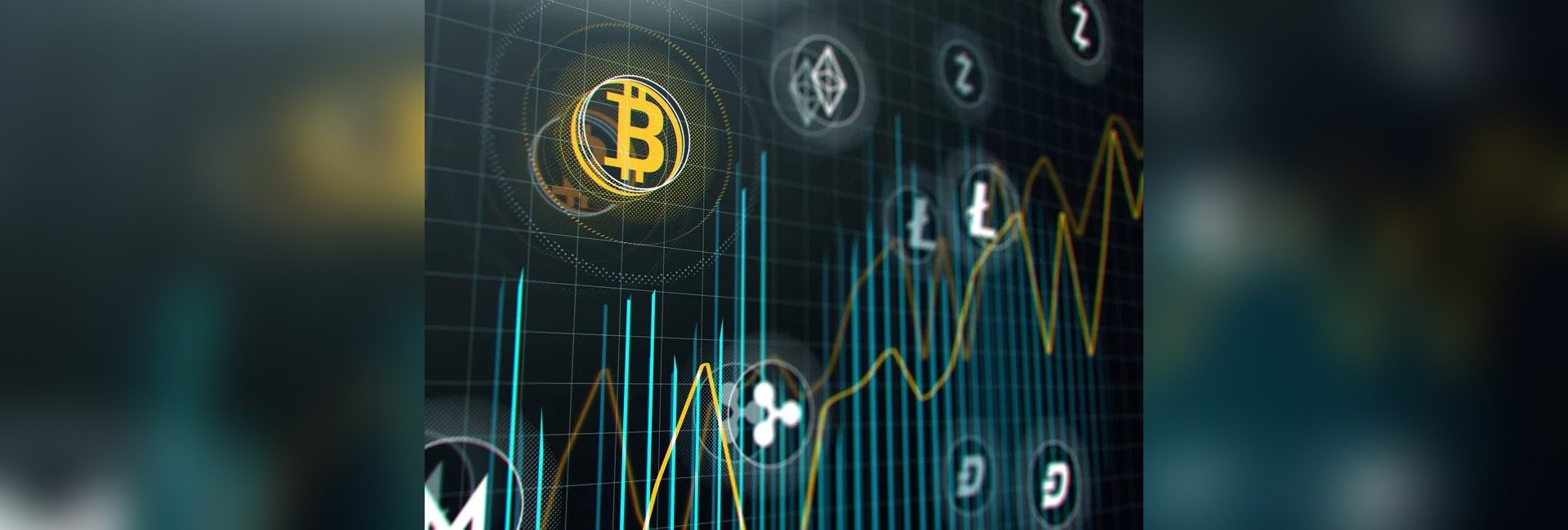 Into the unknown: Why the future of India’s crypto ecosystem looks blurred – Forbes India