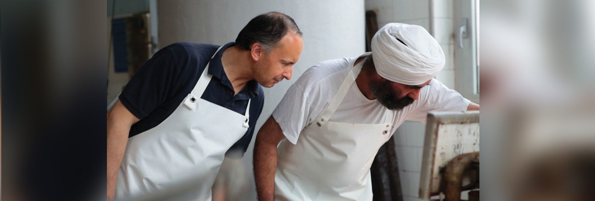 Conexão indiana do parmesão: como os sikhs salvaram a indústria italiana de queijos