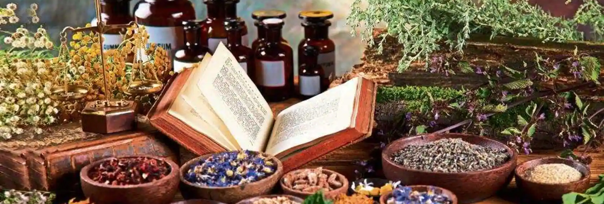 Ayurveda is emerging as India’s soft power
