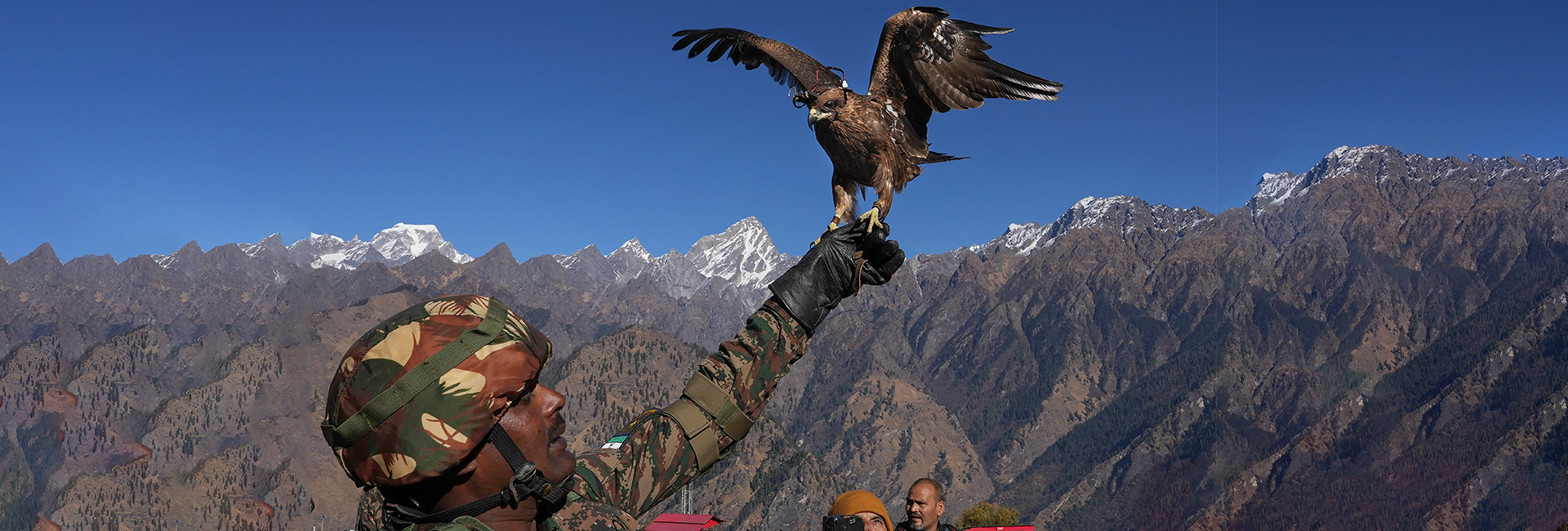 India's $80 anti-drone system?