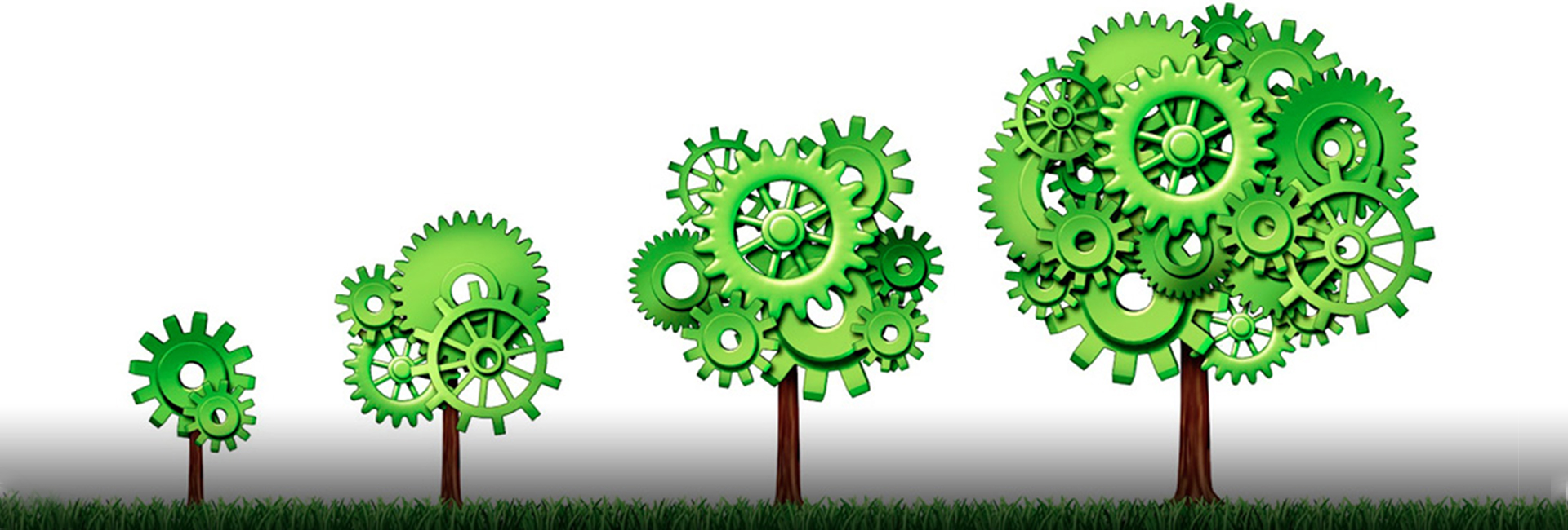 India’s green GDP