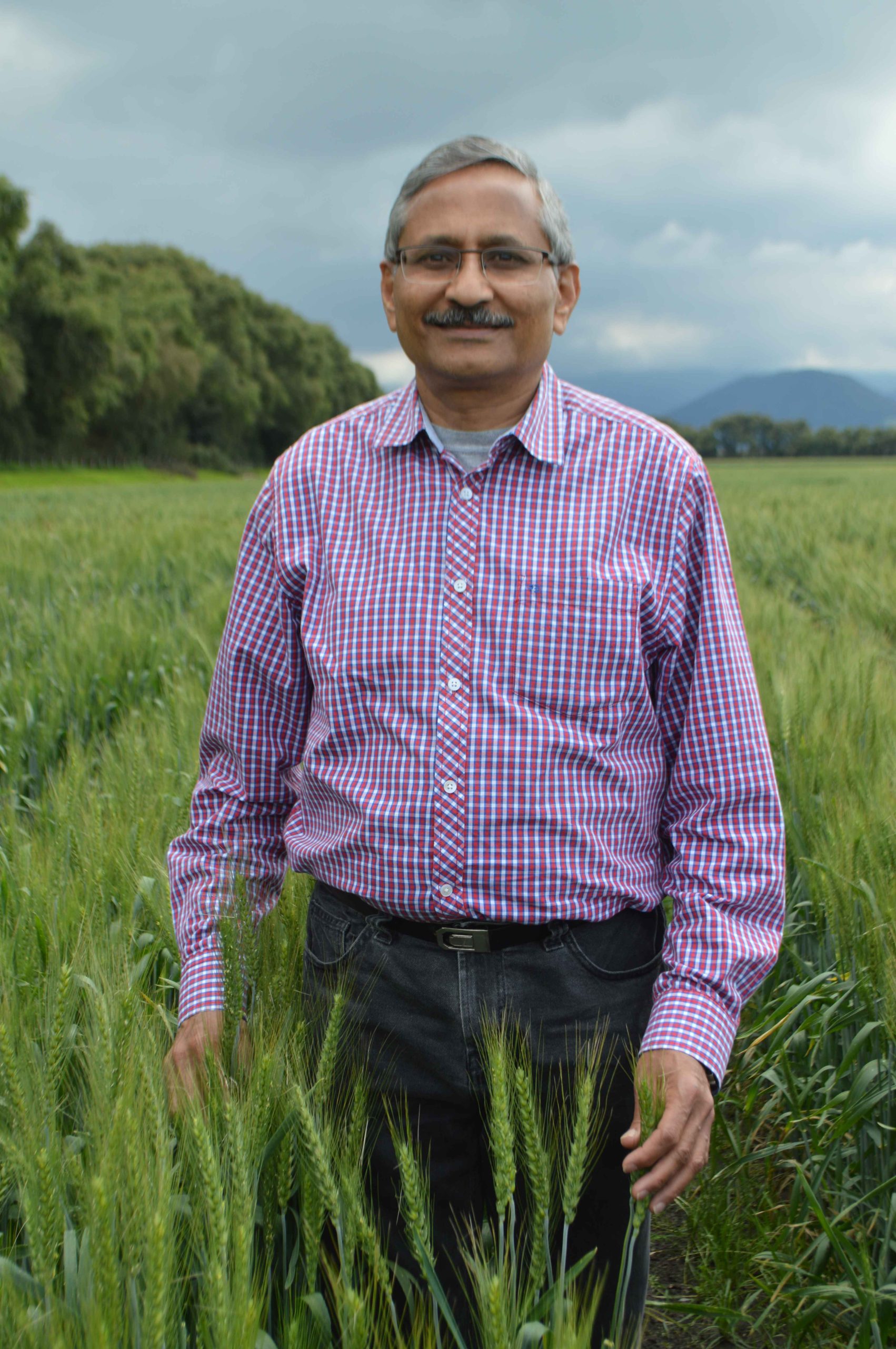 Wissenschaftler | Dr. Ravi Prakash Singh | Globaler Indianer