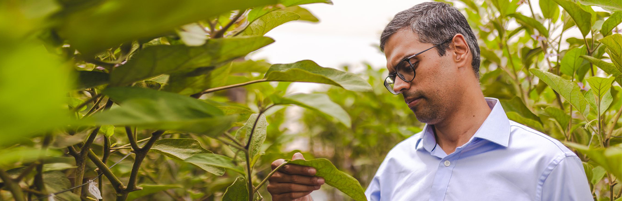 green startup | Global Indian