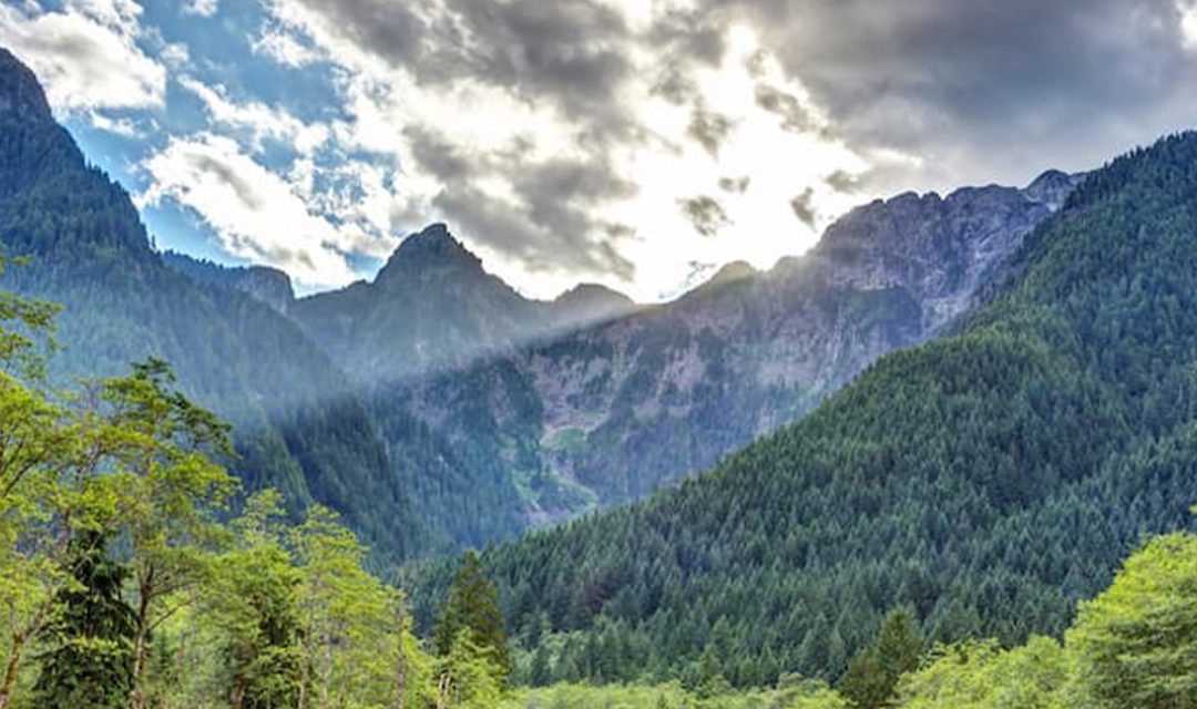 An odyssey into Vancouver’s charm