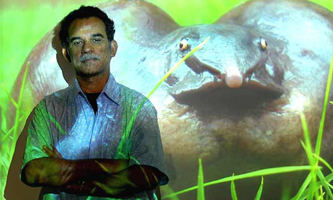 인도의 잠수부: SD Biju 교수는 하버드에서 개구리를 인기 있게 만들 준비가 되었습니다.
