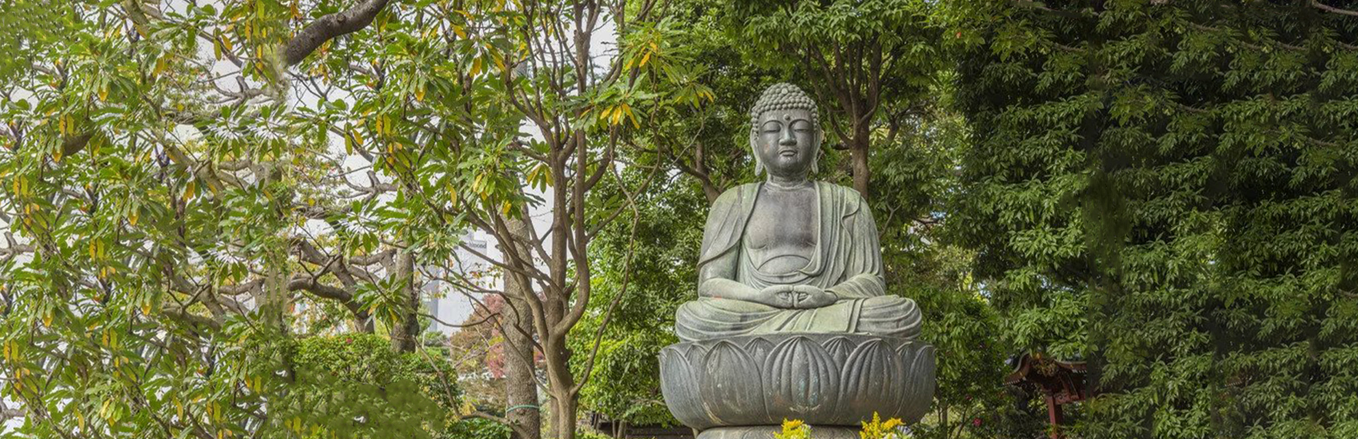 How an American helped revive Buddhism in Sri Lanka after moving to India