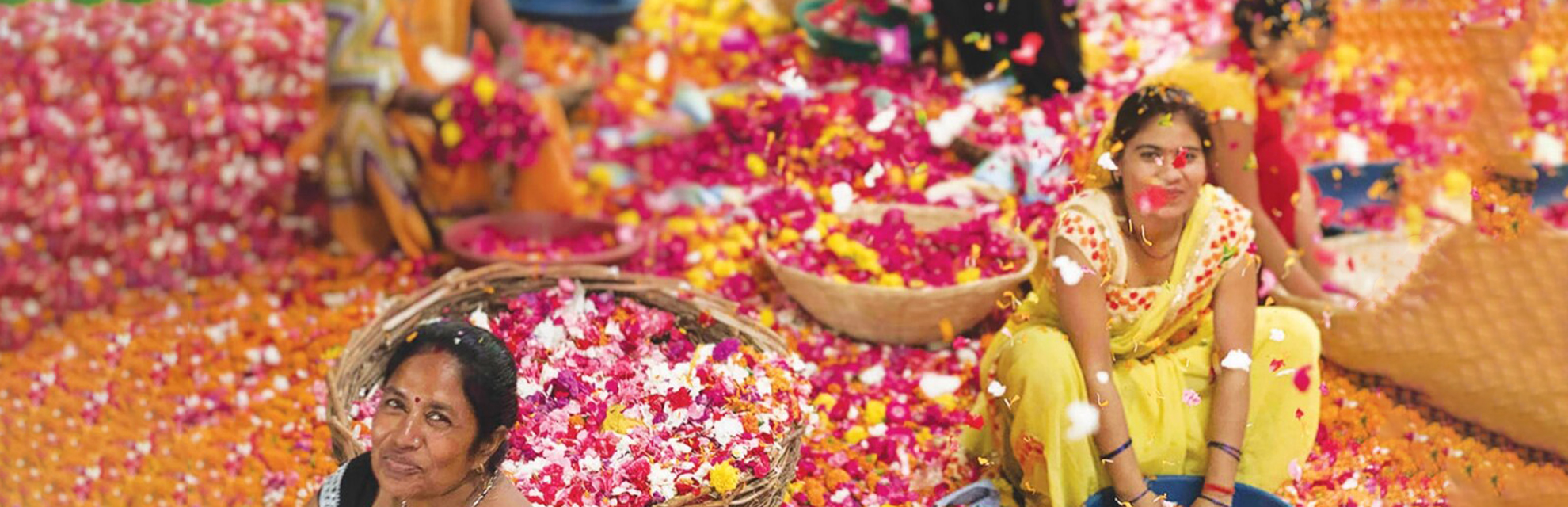 Ankit Agarwal | Global Indian | Phool
