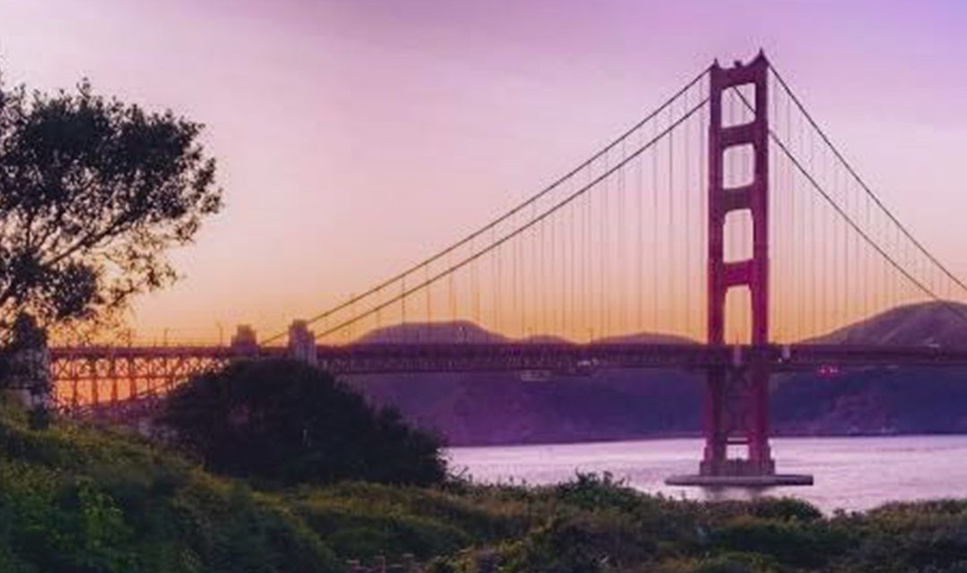 Explore Pacific Heights: A glimpse of paradise in California