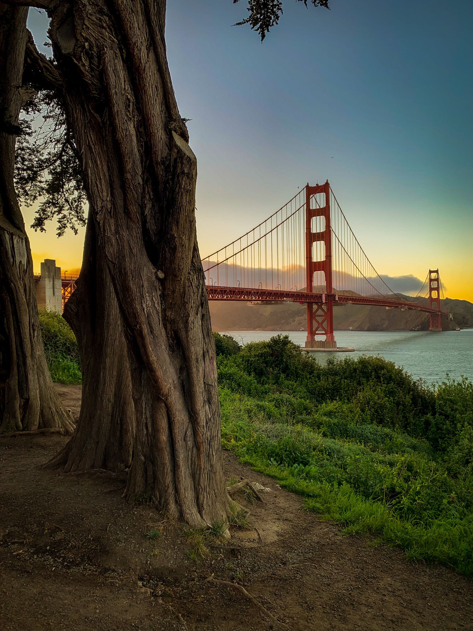 California | Global Indian