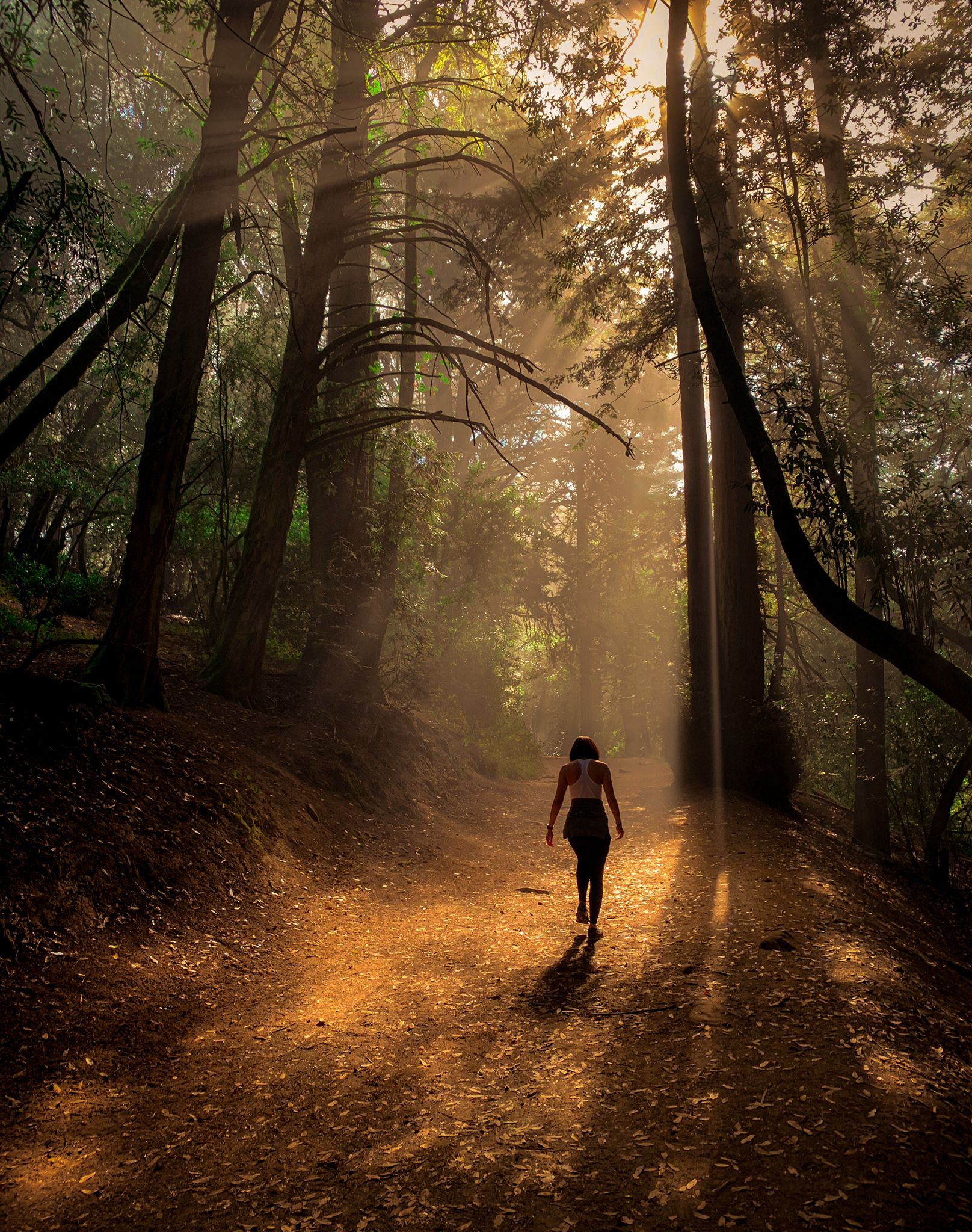 California | Global Indian