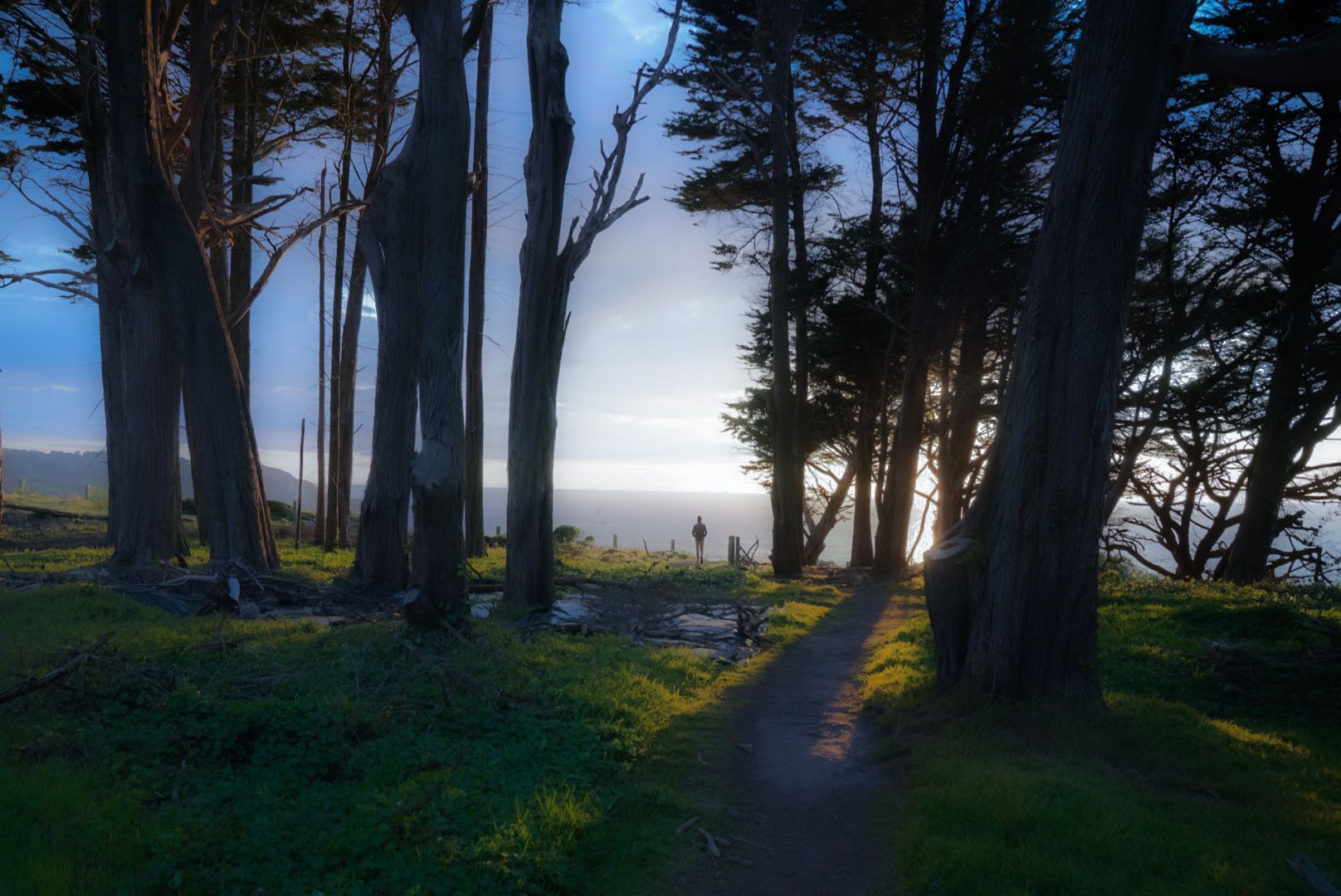 California | Global Indian