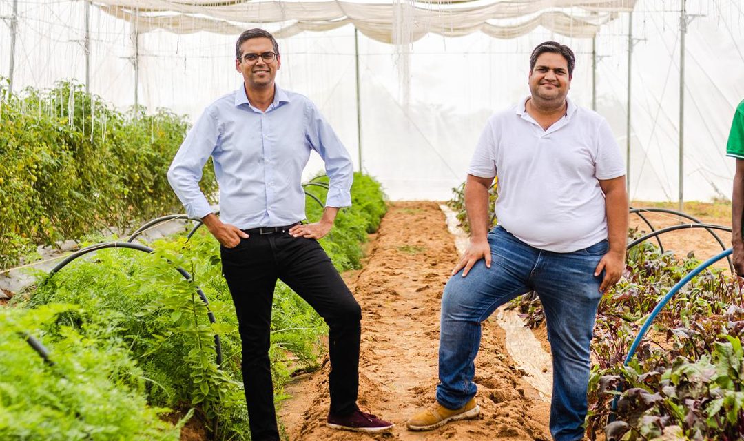 Kheyti: Earthshot Prize-winnende startup die een revolutie teweegbrengt in de landbouw voor kleine boeren