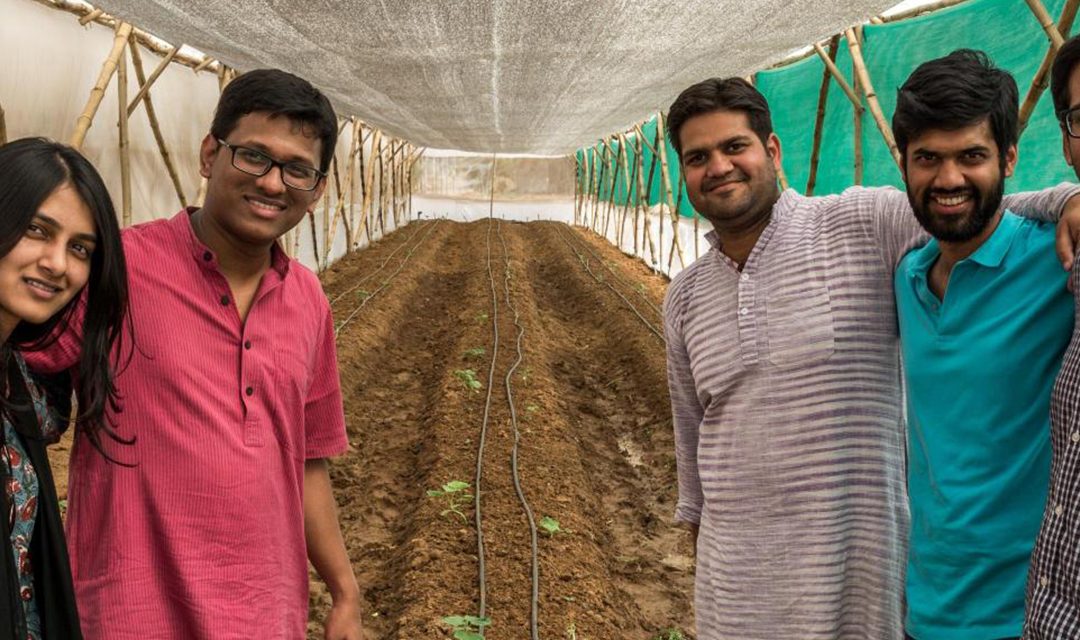 상자 속 온실: Kheyti가 소규모 농부에게 스마트 기술을 제공하는 방법
