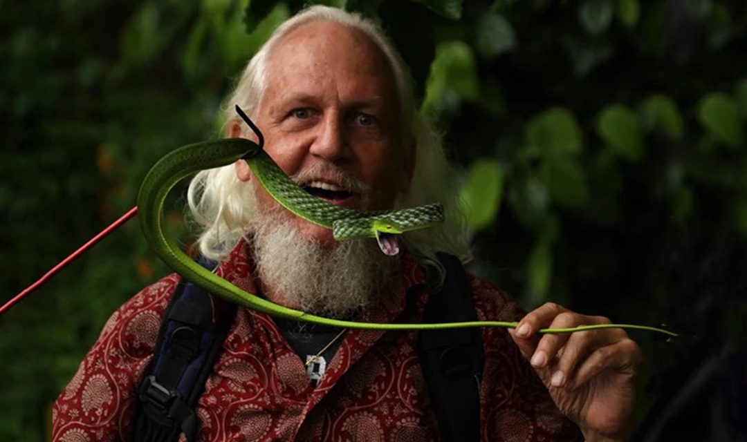 Romulus Whitaker: o lendário herpetologista e conservacionista da Índia