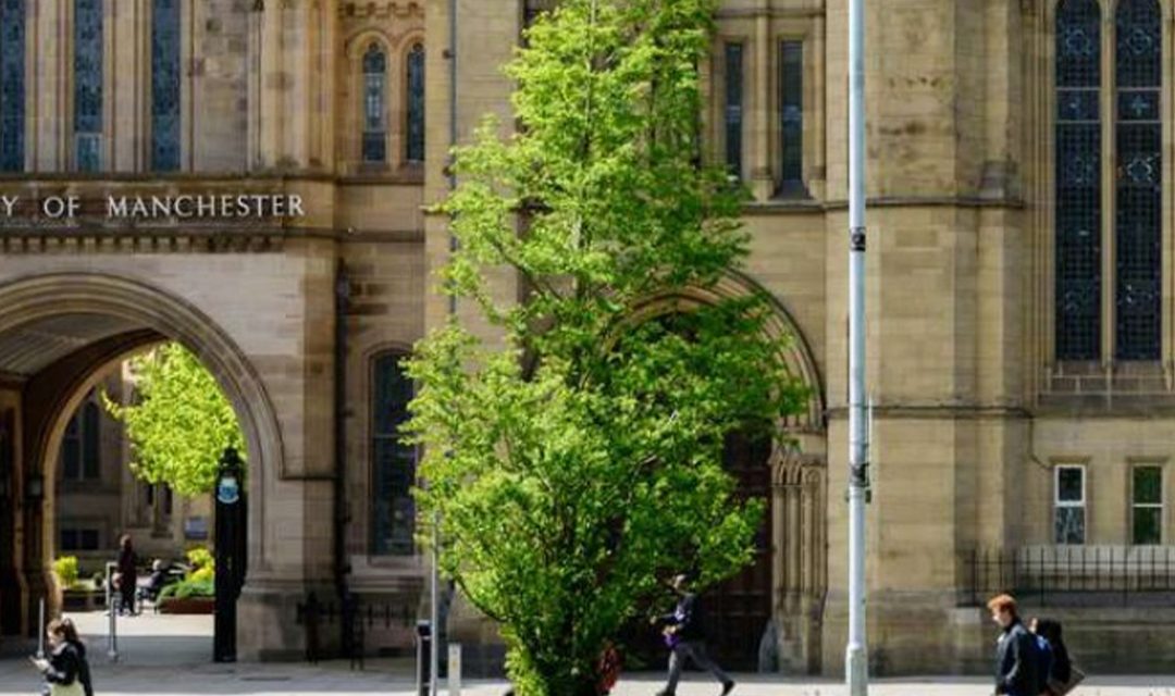 Amin Haq: Admission process in the UK is much easier than the US