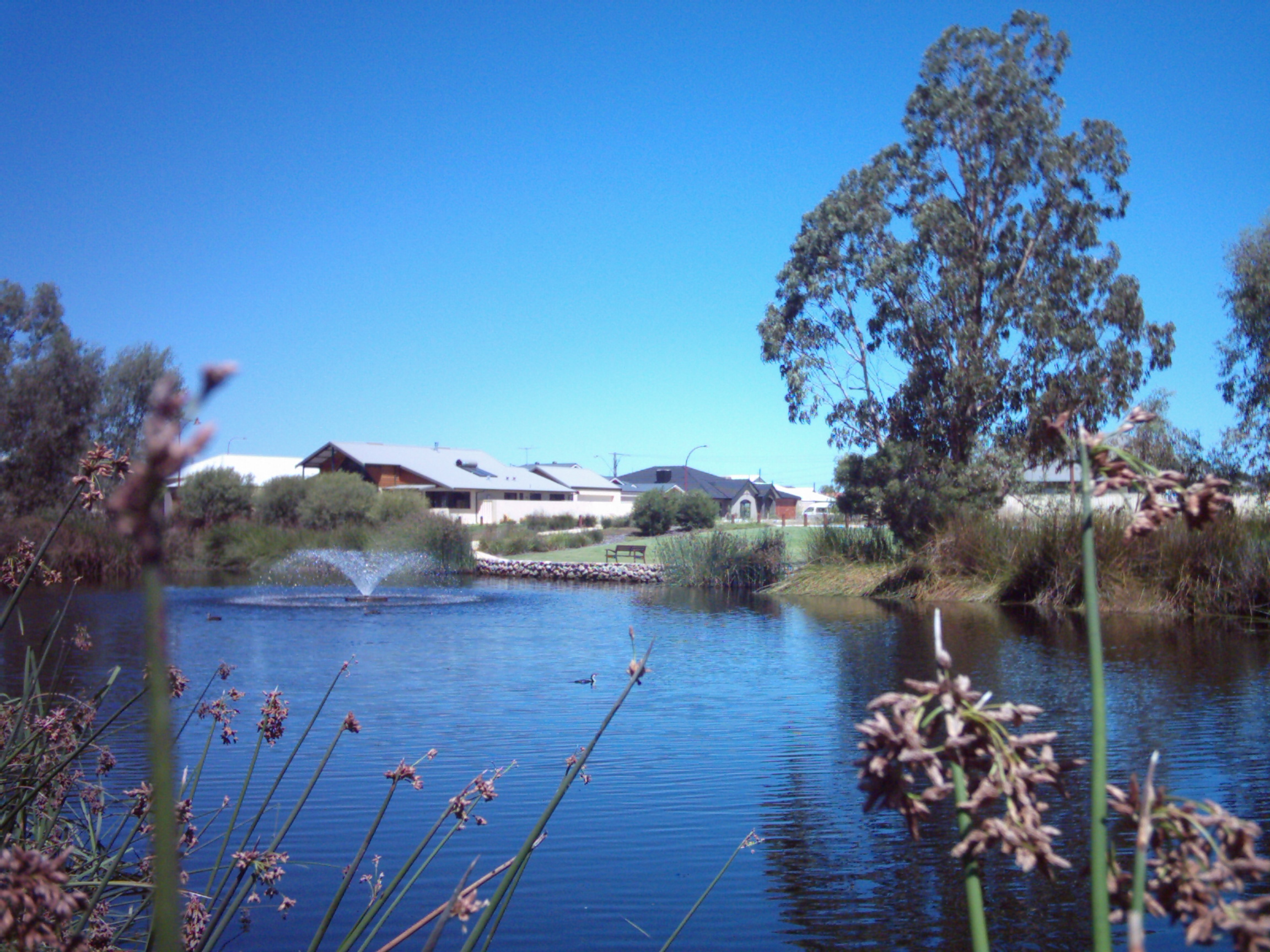 ZipCode | Global Indian