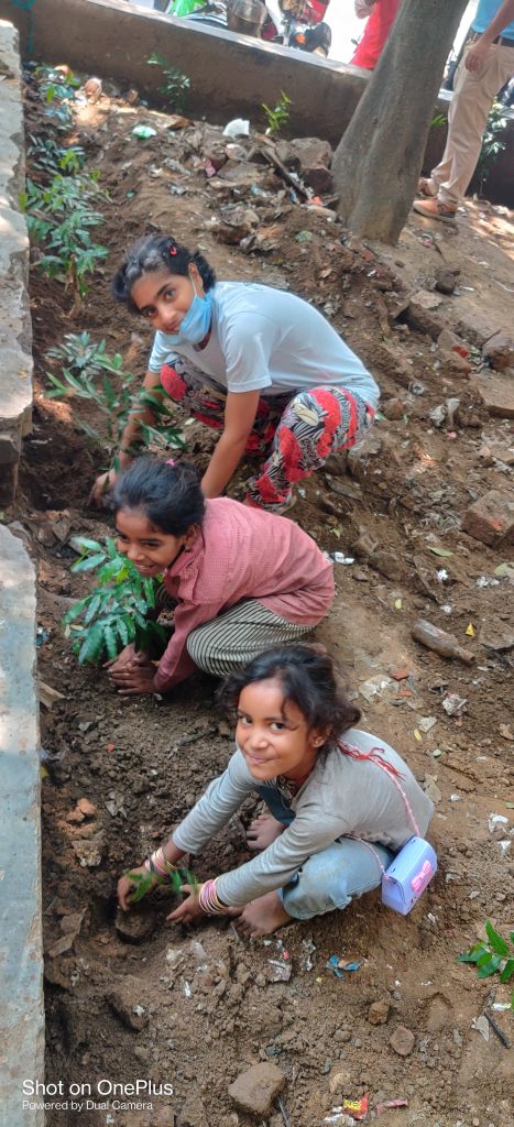 Plantation Drive 