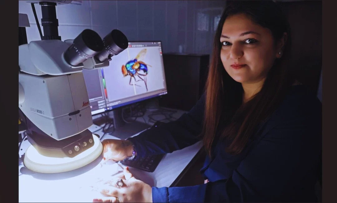 From Big Cats to Blowflies: Drashti Parmar’s research journey at Poland’s Nicolaus Copernicus University