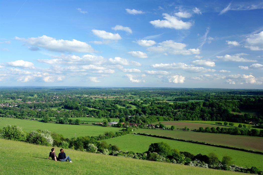Box Hill 