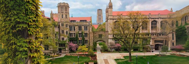 University of Chicago | Global Indian