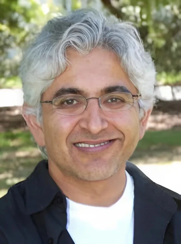Professor Sanjay Seth