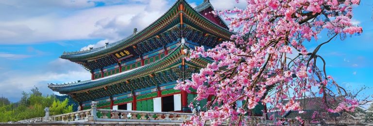 Seoul | Global Indian