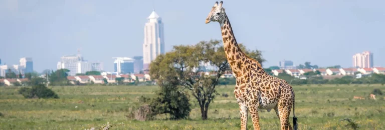 Nairobi | Global Indian