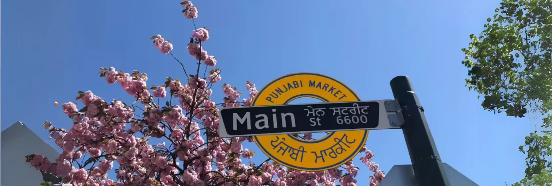 Indian language | Global Indian