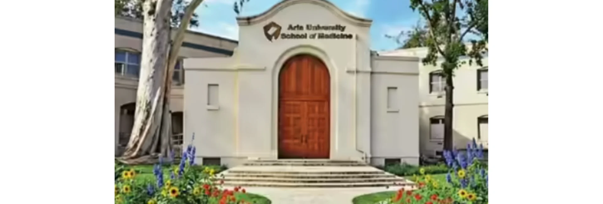 Aria University, United States