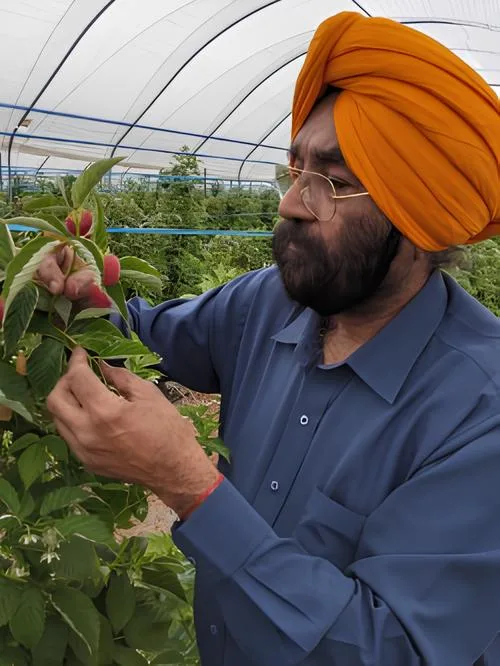 Professor Zora Singh, Edith Cowan University, Australia