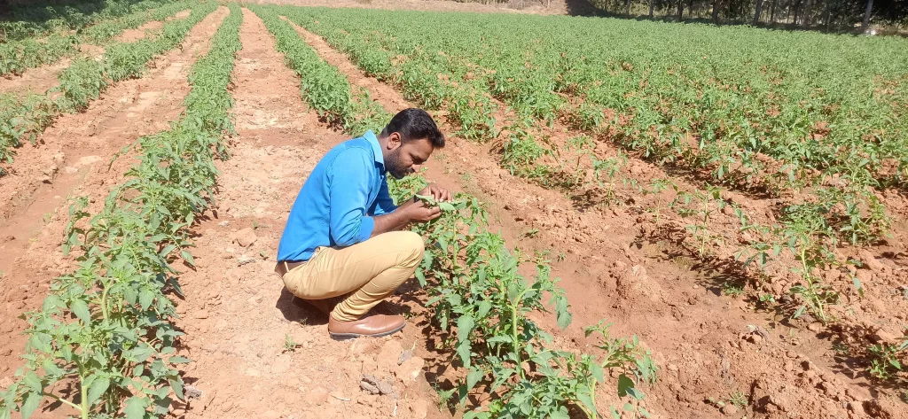 Rajasekar Govindhasamy | Indian Agriculture Professional