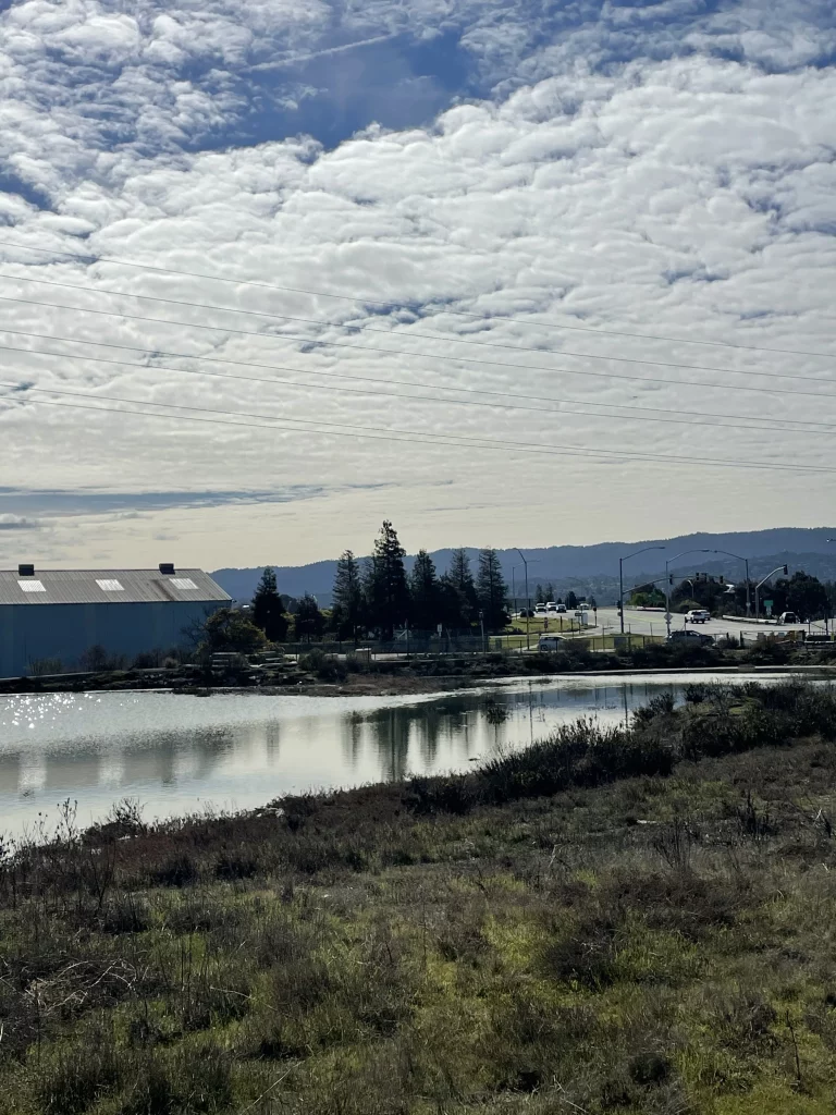 Redwood City, California