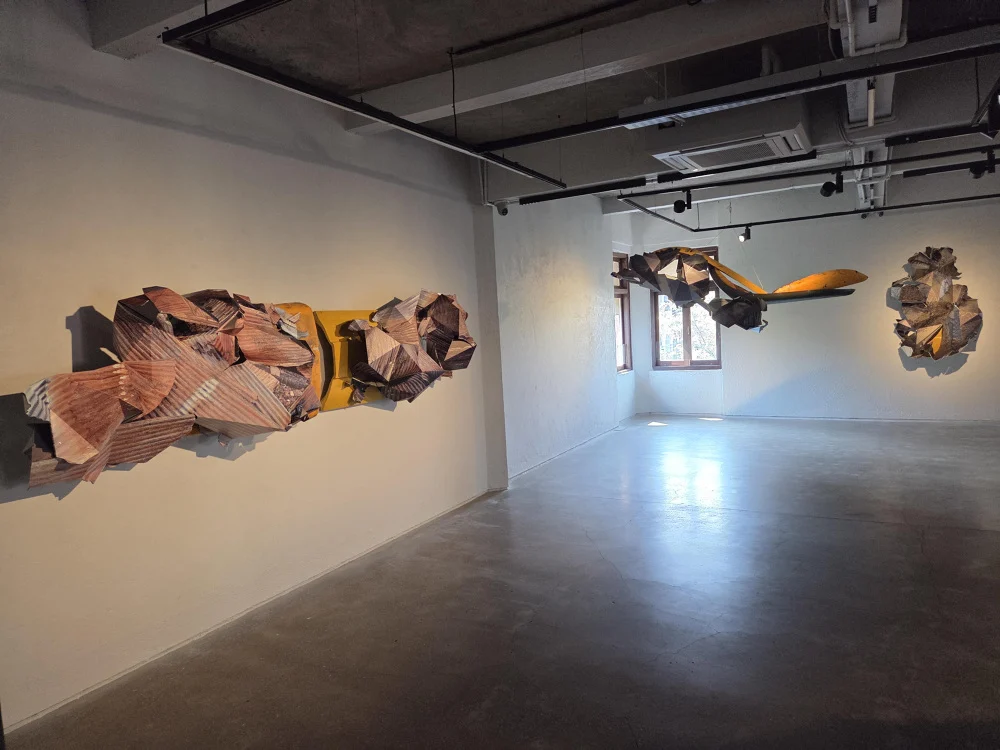 Art from the discarded by Asim Waqif