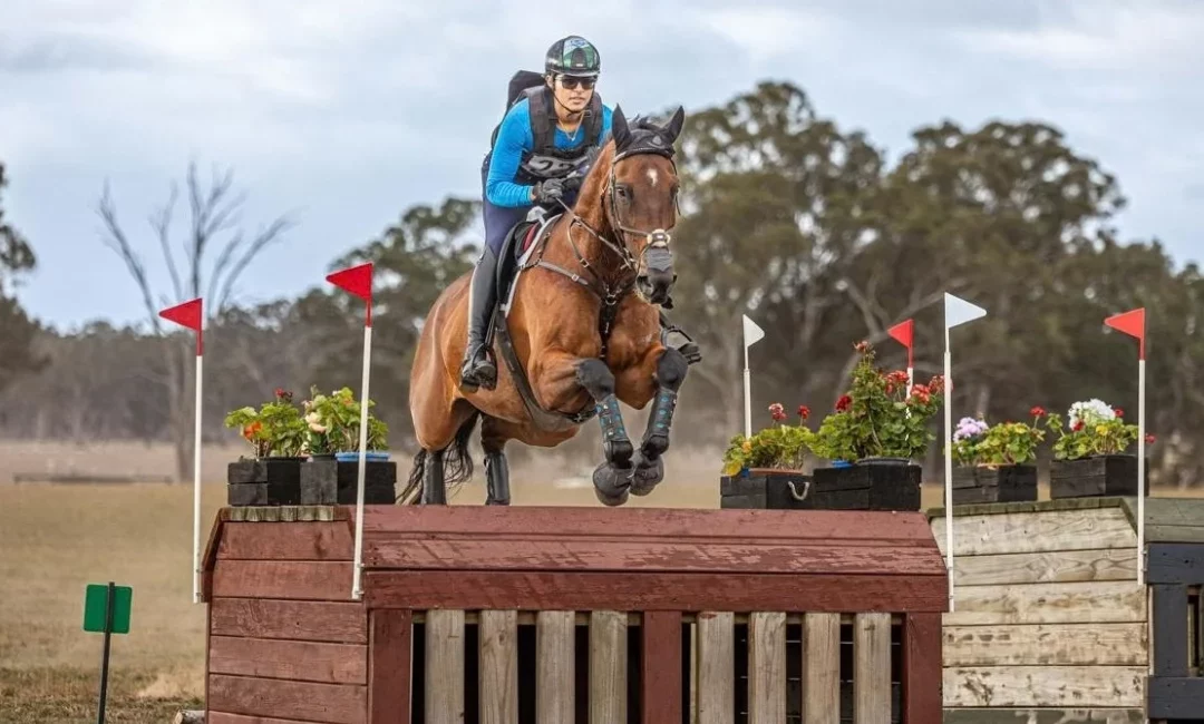 Shashank Singh Kataria: Balancing academics in Melbourne with representing India in equestrian sport