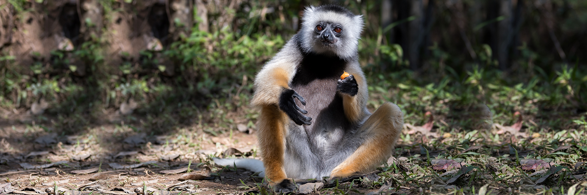 Arshdeep Singh: Teen wildlife photographer seeing the world through the lens