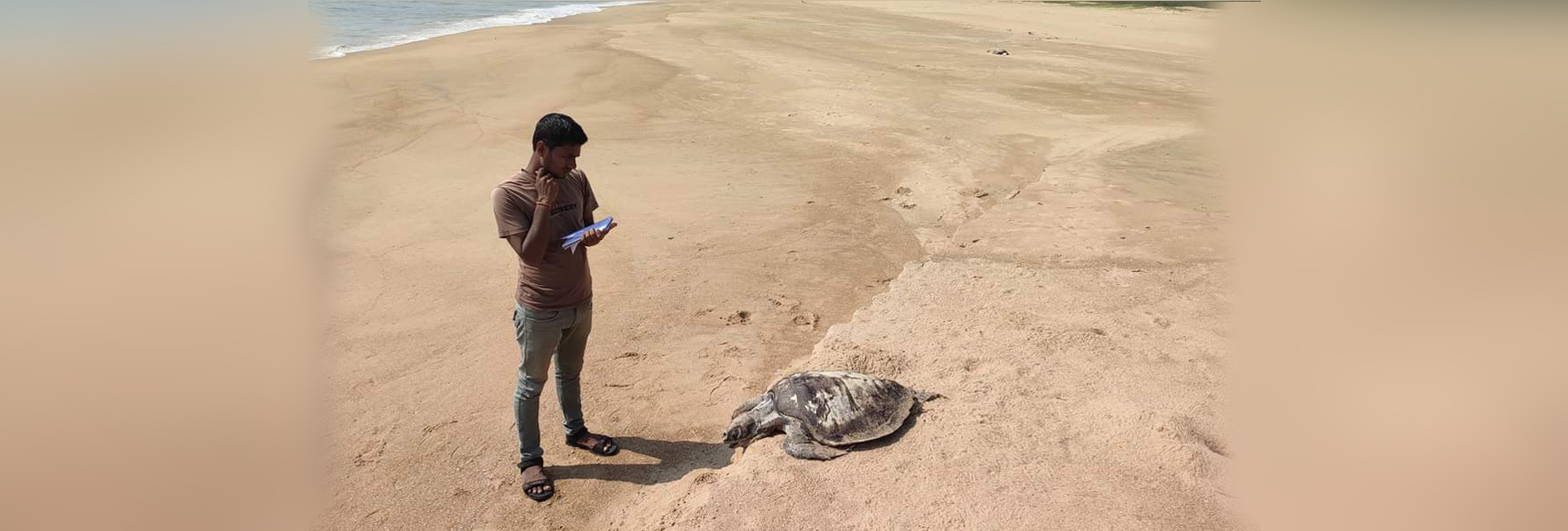 World Environment Day: Noise, climate change, and the disappearance of